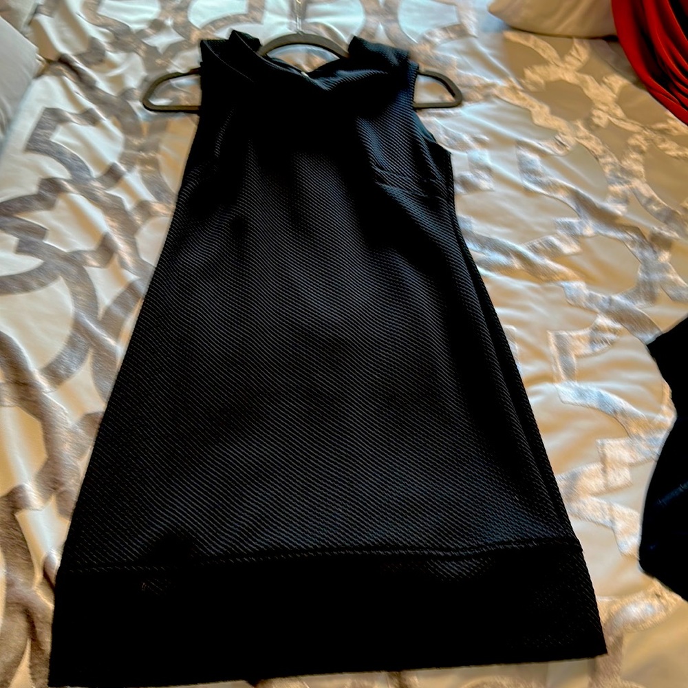 Amici short but professional dress